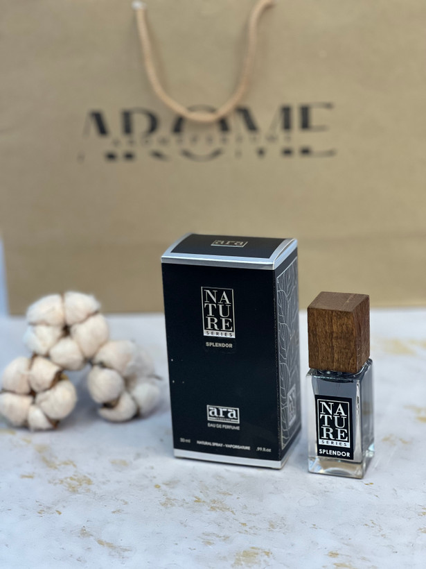 عطر ادوپرفیوم آرا نیچر مدل اسپلندور بلک مشکی مردانه حجم ۳۰میلی لیتر